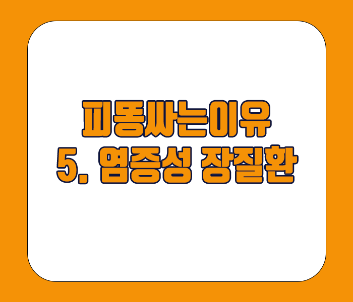 피똥싸는 이유 - 염증성 장질환