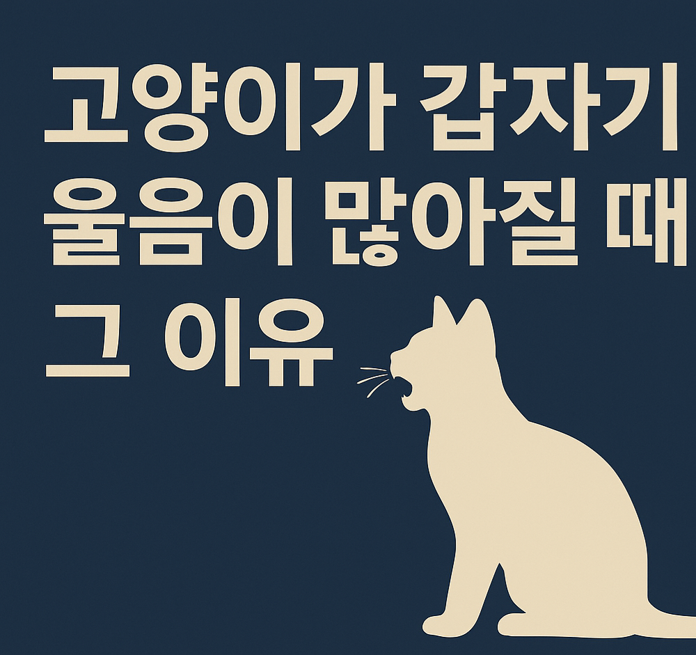 고양이가 갑자기 울음이 많아지는 이유 - 행동학·환경학 심층 해설