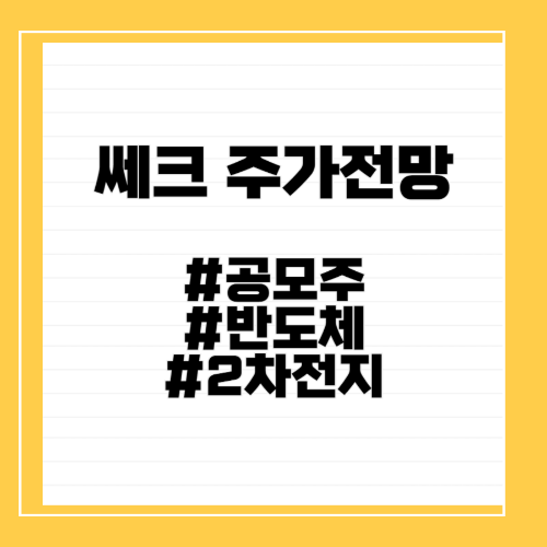 쎄크주가전망