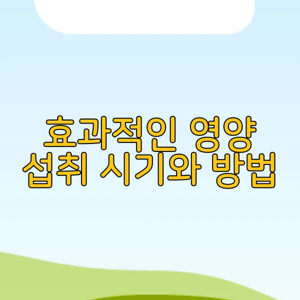 효과적인 영양 섭취 시기와 방법
