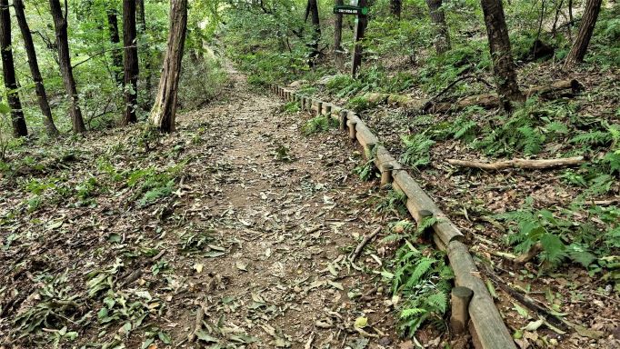 숲속 걷기 좋은 흙길