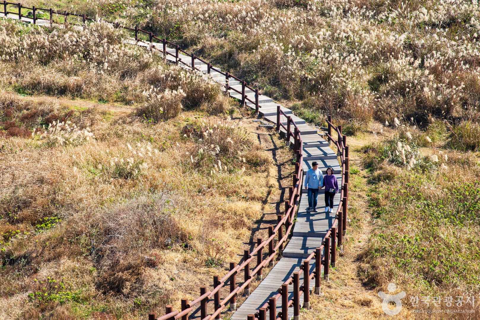 제주 닭머르해안길