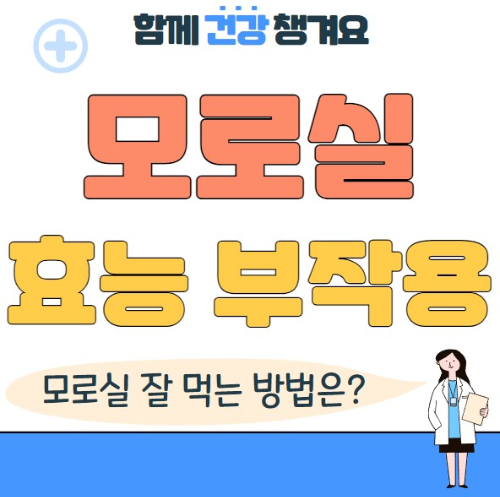 모로실 효능 복용법 부작용 총정리