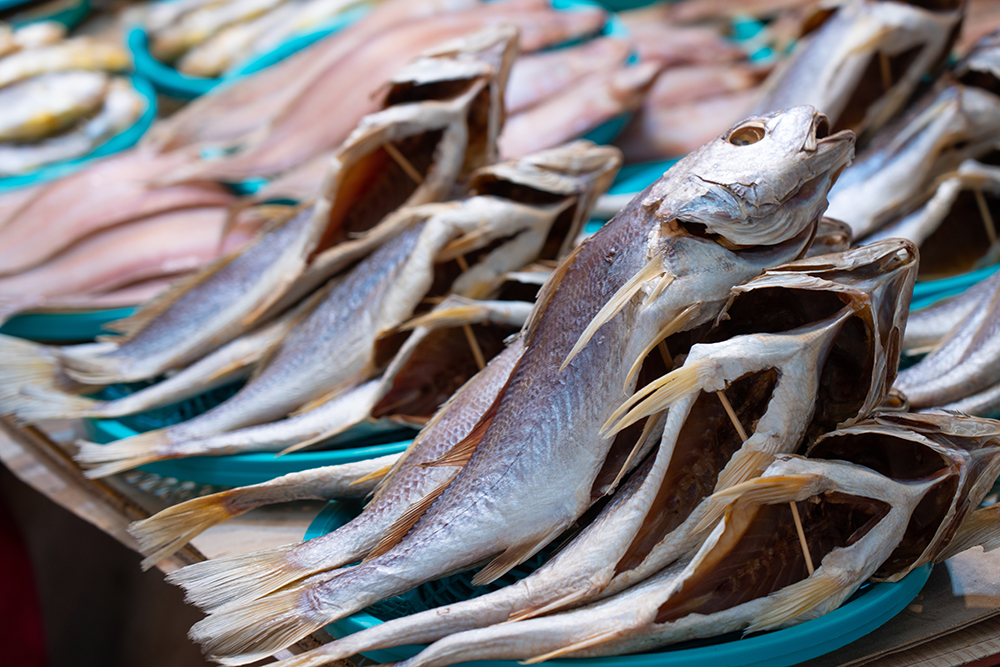 민생회복 소비쿠폰 신청방법