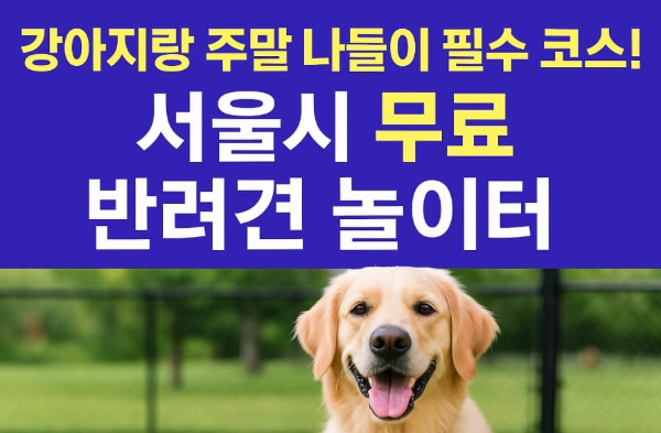 강아지랑 반려견 놀이터