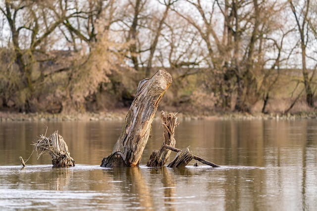 2026년 종합소득세 신고 기간 및 방법 총정리