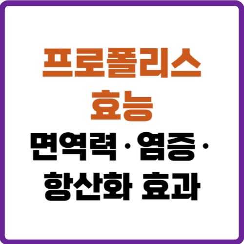 프로폴리스 효능