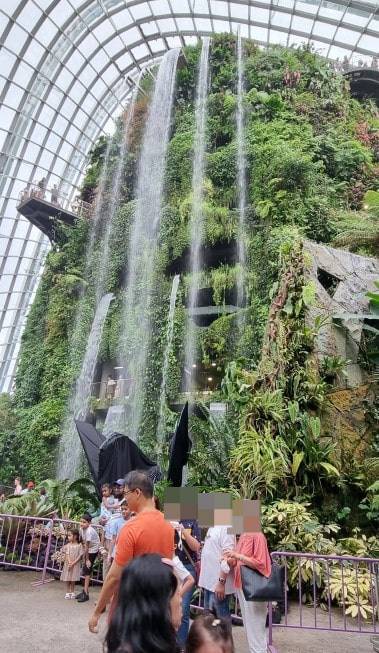 가든스 바이 더 베이 클라우드 포레스트