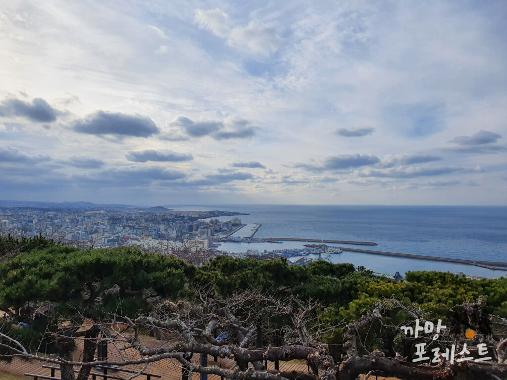 사라봉 전경