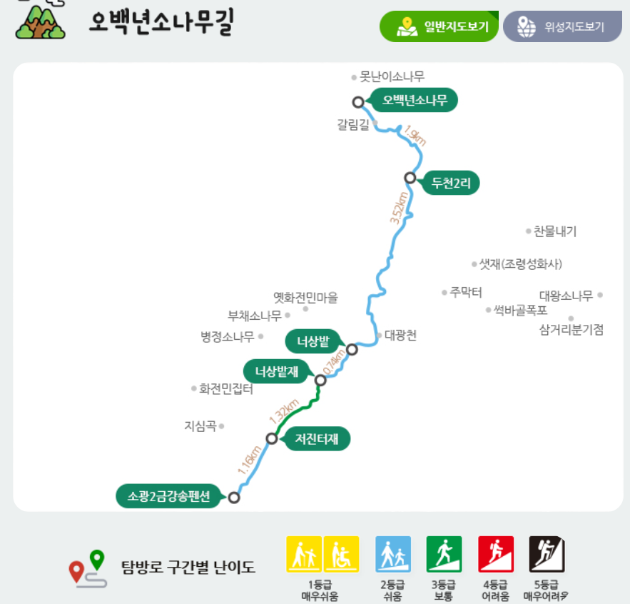 울진 금강소나무숲길