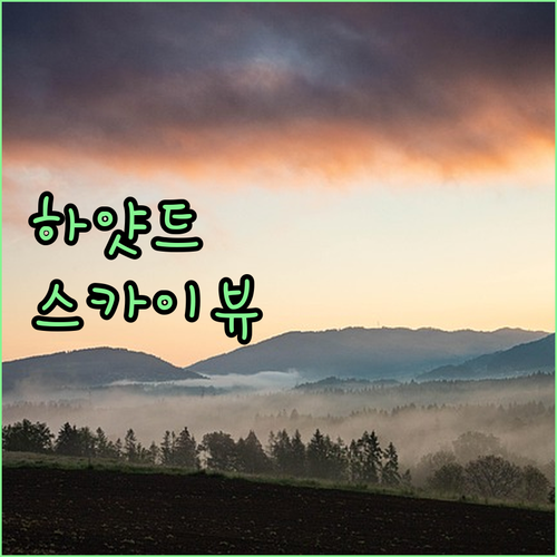 세부 하얏트 스카이 타워 럭셔리한 숙