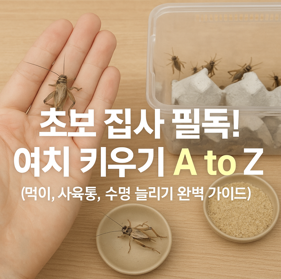 초보 집사 필독! 여치 키우기 A to Z (먹이, 사육통, 수명 늘리기 완벽 가이드)