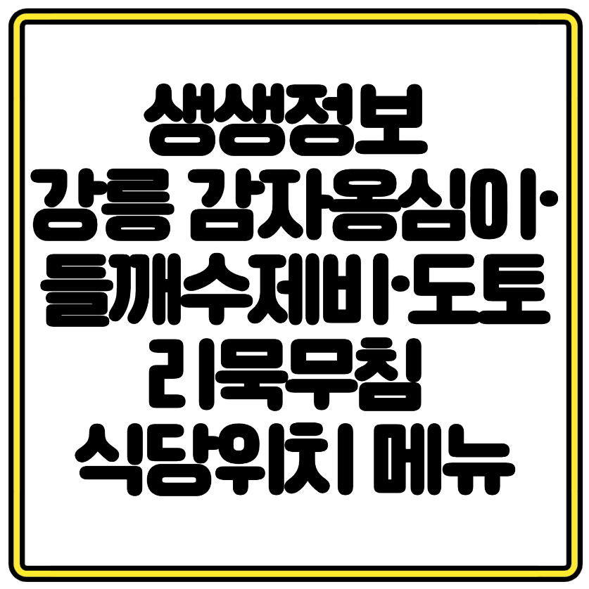 생생정보 강릉 감자적일번지 위치 메뉴 감자옹심이·들깨수제비·도토리묵무침 총정리 (장PD의 AI 여행기)