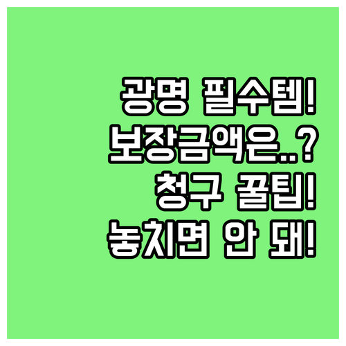 2025년 광명시민 필수 안전망 시민..