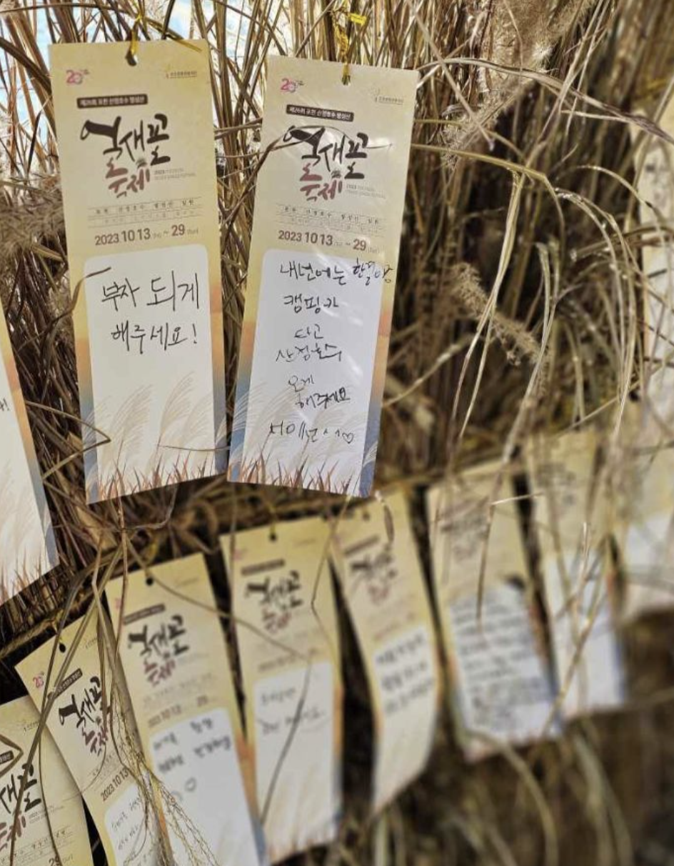 포천 명성산 억새꽃 축제