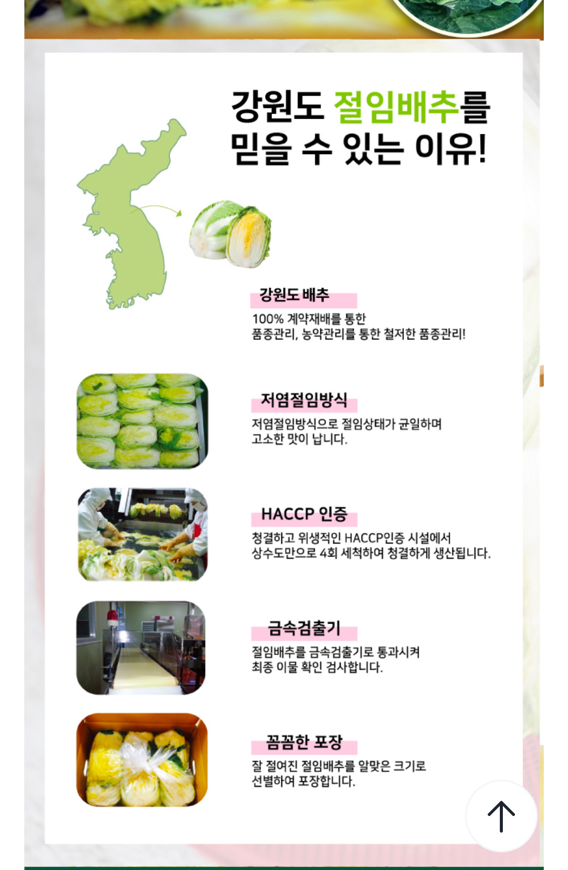 절임배추