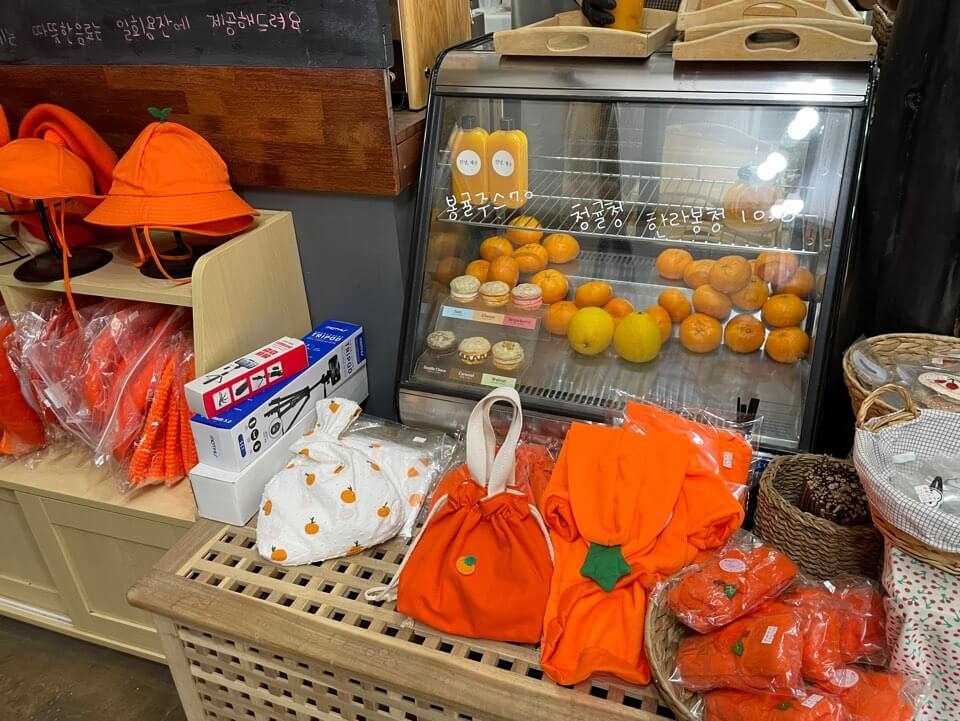 제주여행-서귀포-감귤체험-카페