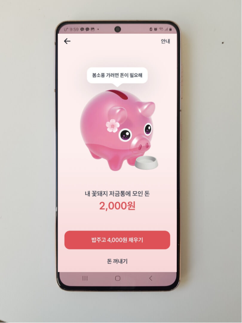 토스 꽃돼지