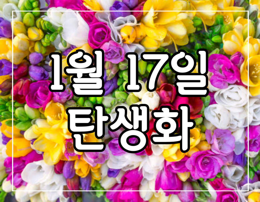 이 이미지는 1월 17일 탄생화 프리지아 꽃말에 관한 포스팅의 대표 이미지입니다.