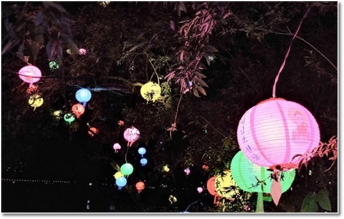 형산강 연등문화축제 연등 행사