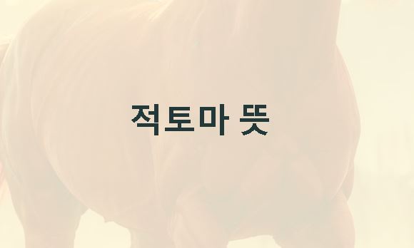 적토마 뜻 역사 의미 유래