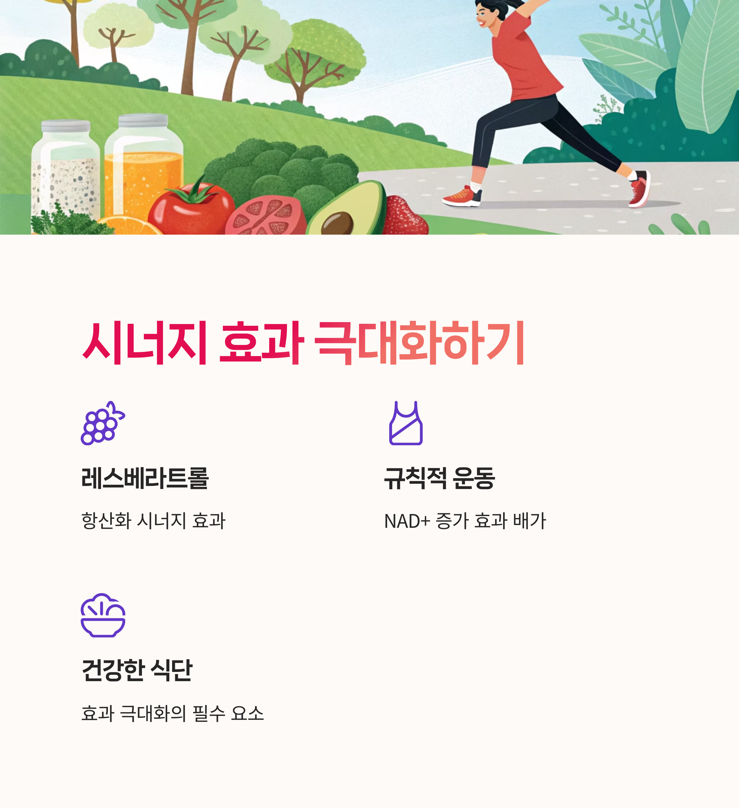 NAD플러스, 피로회복,