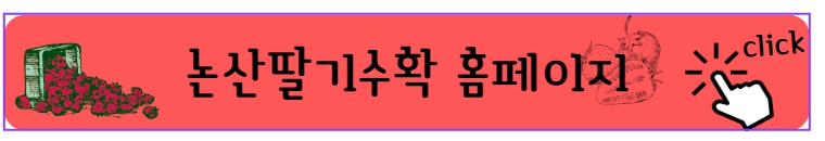 2023 논산딸기축제 일정 정리