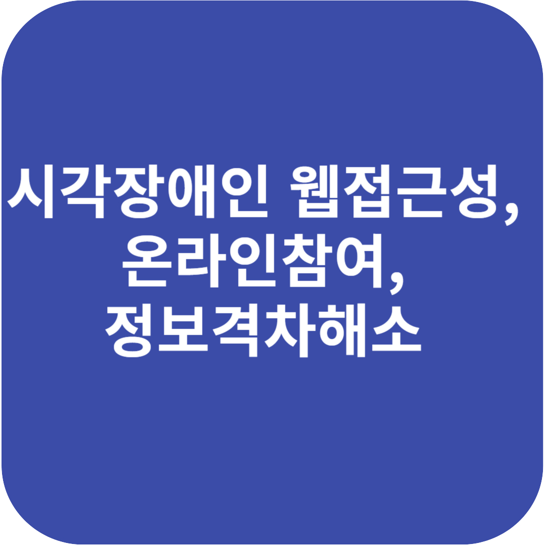 시각장애인 웹접근성, 온라인참여, 정보격차해소