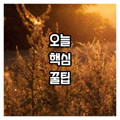 밀로스관광호텔 예약 전 확인하세요 숙