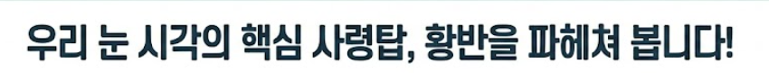 황반변성 증상