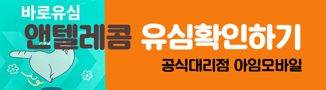 앤텔레콤 유심확인