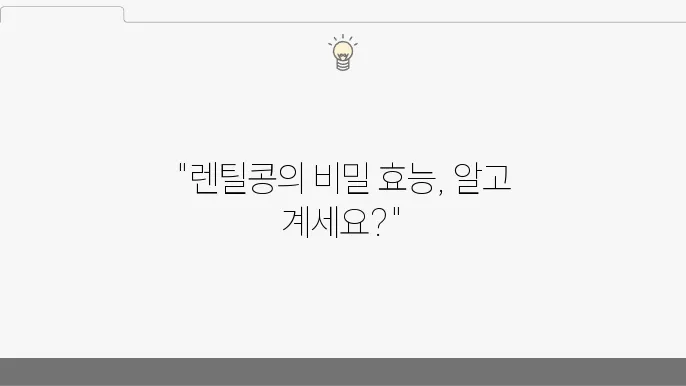 렌틸콩 효능 10가지