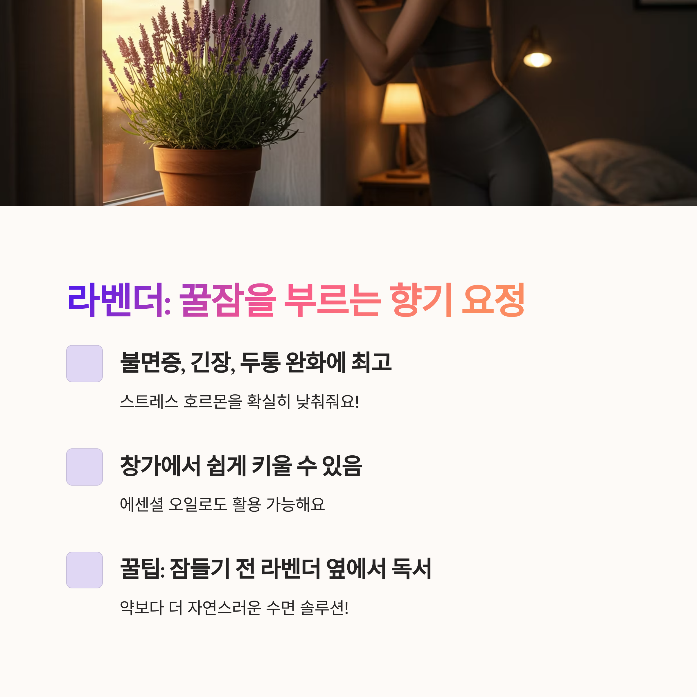 라벤더 – 향기로 마음을 다독이다