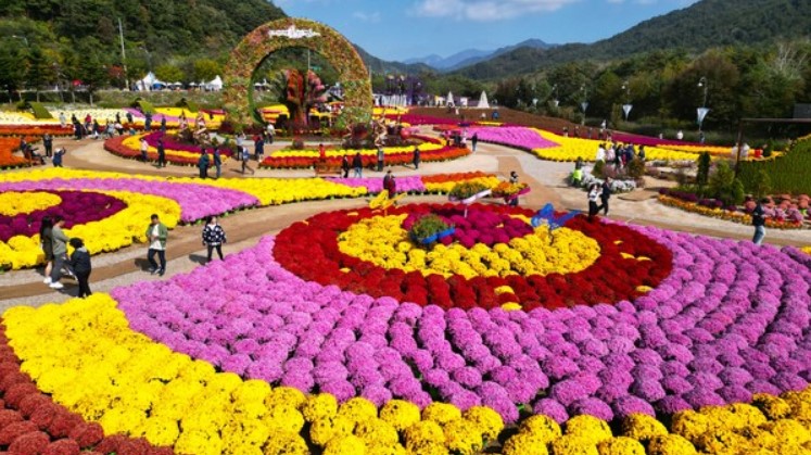 가을나들이 추천 인제가을꽃축제