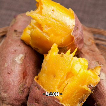 비타민A가 많은 음식