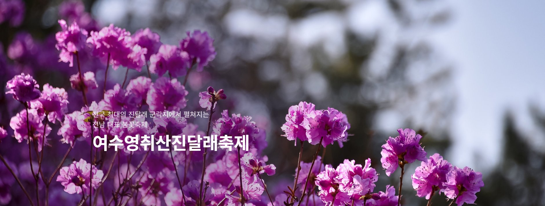 영취산 진달래 축제 소개