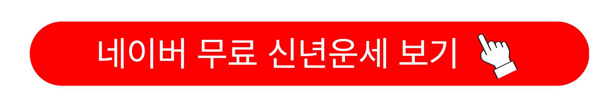 2025년 신년운세