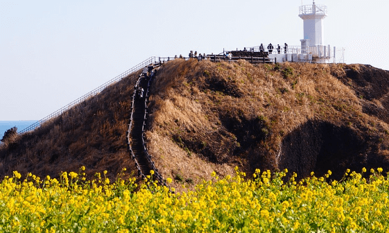 한라산 백록샘 최초 개방 예약방법