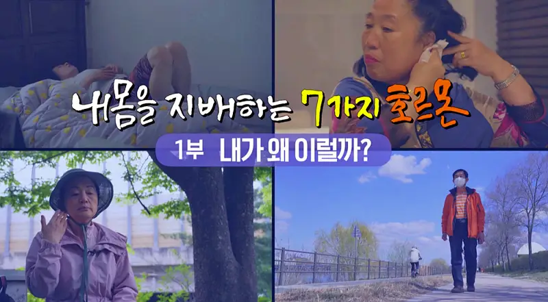 명의 여성호르몬 남성호르몬 갱년기 불면증 호르몬 극복 치료법 내분비 내과 안철우 교수