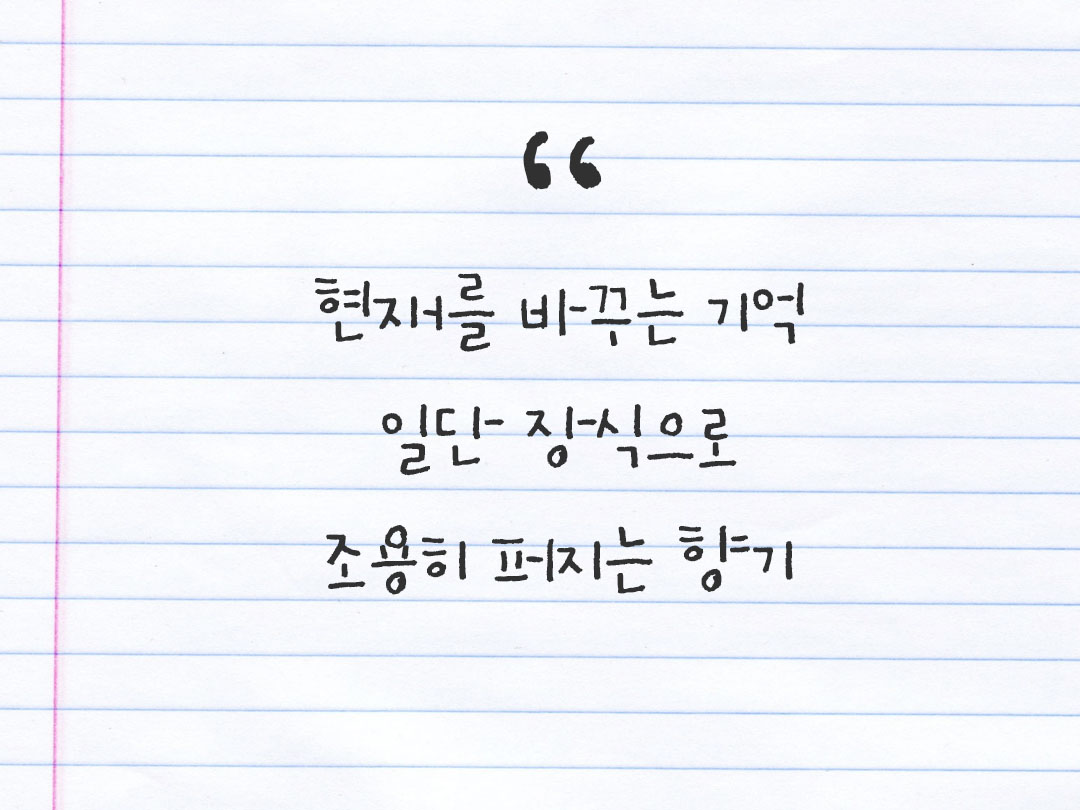 2026년 3월 11일 피어나네 감사노트｜일상을 행복으로 바꾸는 기록 하루 3줄 감사일기