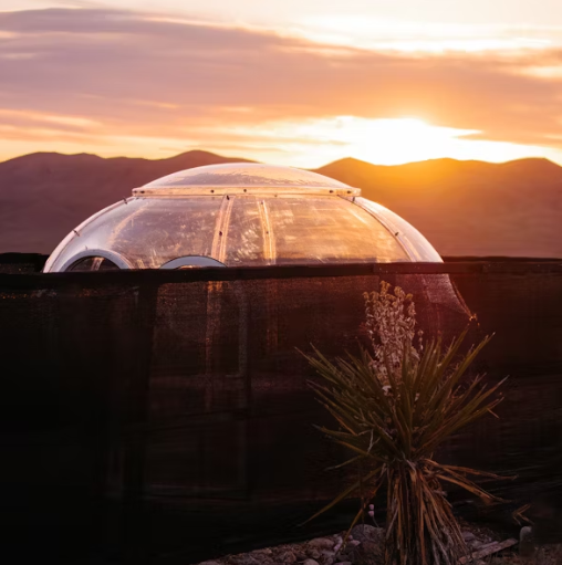 글램핑장 예약 앱 BEST5 사용 후기와 팁 정리