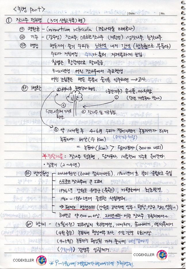 잣나무 털녹병