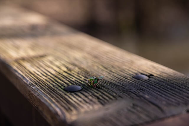 디지털 미니멀리즘