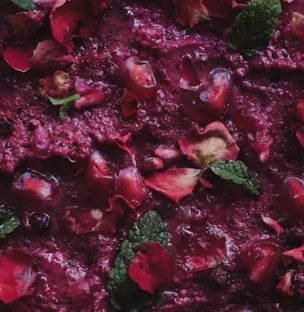 비트 효능 및 부작용 먹는 방법 칼로리 소변색