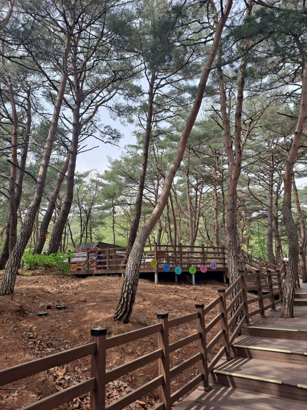 소금산 울렁다리 넘어가는 길