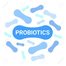 유산균 vs 프리바이오틱스 vs 프로바이오틱스
