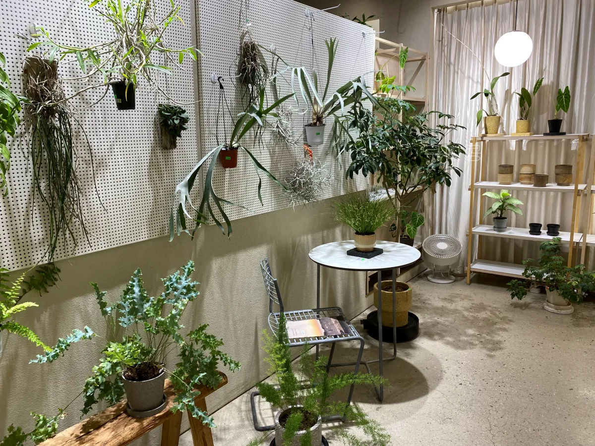 성수동-식집사-갈만한-곳-추천,-식물-구경하기-좋은-틸테이블