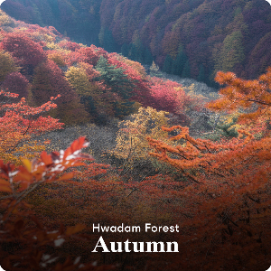  화담숲&middot;모노레일 예약 취소방법&middot;취소표 잡는 방법&middot;입장료 이미지