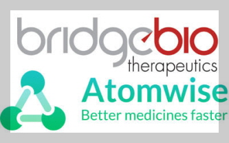 브릿지바이오테라퓨틱스 이미지
