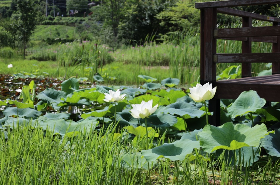 국립백두대간 수목원
